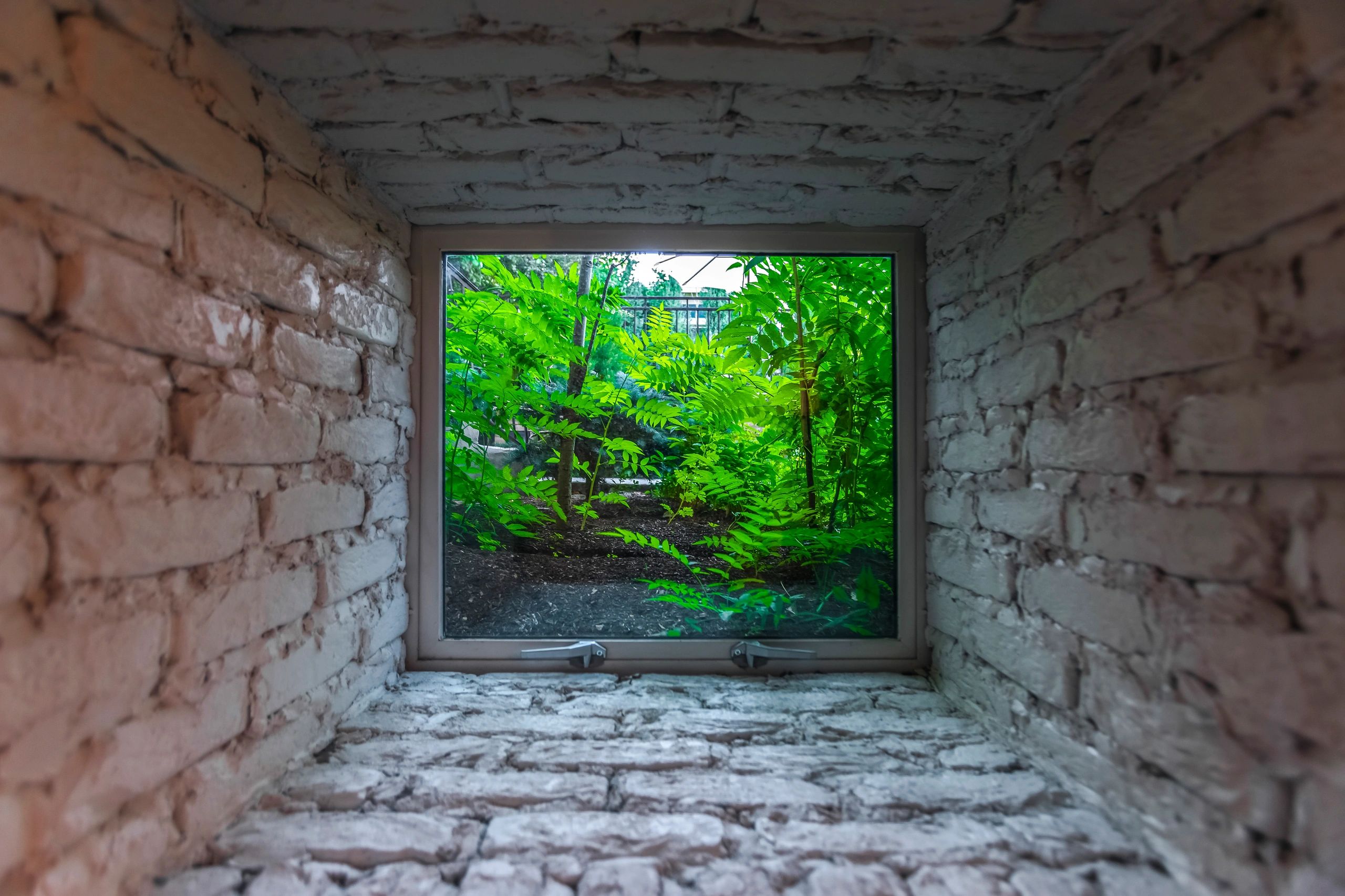 Basement window bringing natural light into a lower level space